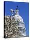 Capitol Building, Washington, DC-Mark Gibson-Premier Image Canvas