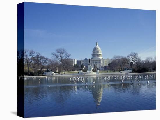 Capitol from across Capitol Reflecting Pool, Washington DC, USA-Michele Molinari-Premier Image Canvas