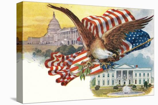 Capitol, White House, Eagle-null-Stretched Canvas