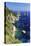 Capri Coastline with the Rocks of Faraglioni-George Oze-Premier Image Canvas