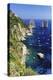 Capri Coastline with the Rocks of Faraglioni-George Oze-Premier Image Canvas