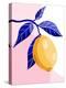 Capri Lemon-Tara Reed-Stretched Canvas