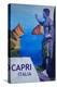 Capri view with Ancient Roman Empire Statue Poster-Markus Bleichner-Stretched Canvas