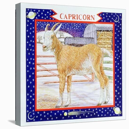 Capricorn-Catherine Bradbury-Premier Image Canvas