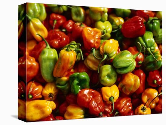 Capsicums at Brixton Market, Brixton, London, England-Neil Setchfield-Premier Image Canvas