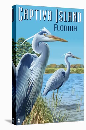 Captiva Island, Florida - Blue Herons in grass-Lantern Press-Stretched Canvas