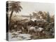 Capture of Island of Grenada by Admiral Charles Hector D'Estaing-null-Premier Image Canvas