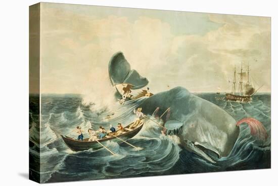 Capturing a Sperm Whale, Engraved by J. Hill, Published 1835-William Page-Premier Image Canvas