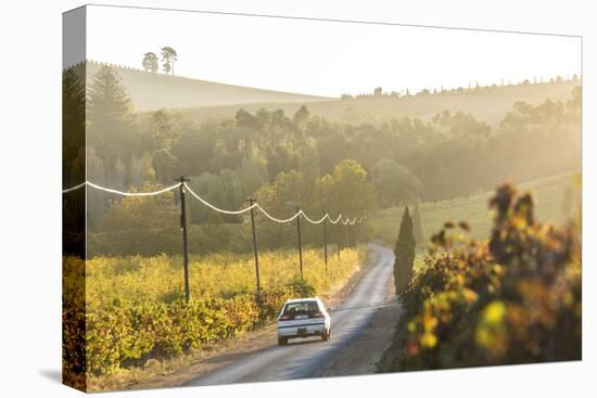 Car and Road Through Winelands and Vineyards, Nr Franschoek, Western Cape Province, South Africa-Peter Adams-Premier Image Canvas