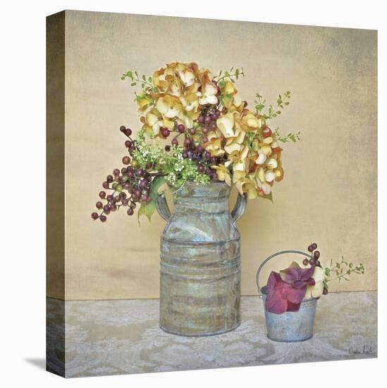 Caramel Hydrangeas-Cristin Atria-Stretched Canvas