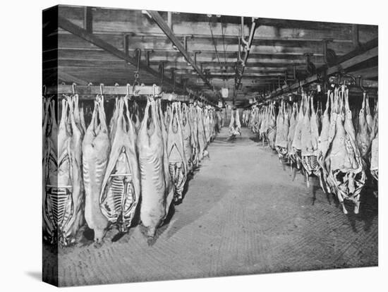 Carcases of Meat Hang from Hooks in the Huge Refrigerated Rooms of the Chicago Stockyards-null-Premier Image Canvas