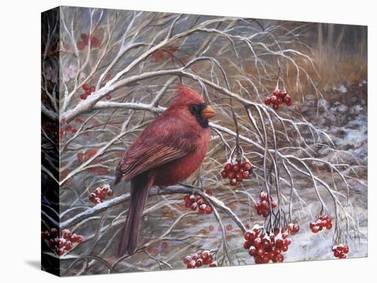 Cardinal and Berries-Kevin Dodds-Premier Image Canvas