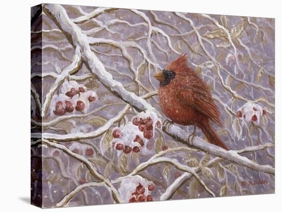 Cardinal and Wild Berries-Kevin Dodds-Premier Image Canvas