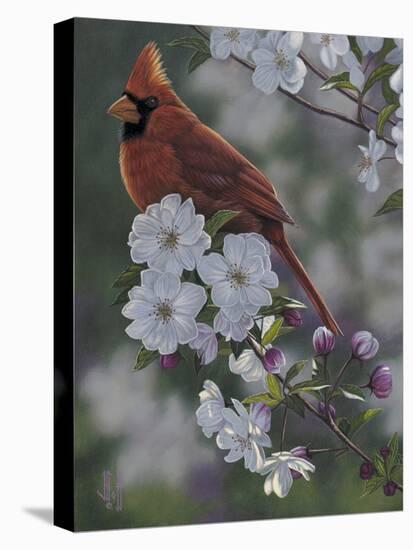 Cardinal Spring Blossoms-Jeffrey Hoff-Premier Image Canvas