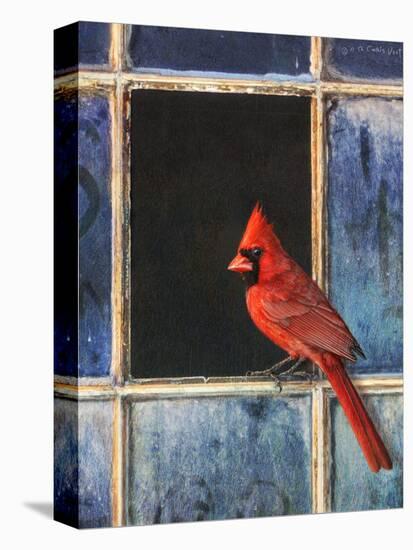 Cardinal Window-Chris Vest-Stretched Canvas