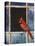 Cardinal Window-Chris Vest-Stretched Canvas