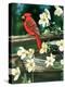 Cardinal-William Vanderdasson-Premier Image Canvas