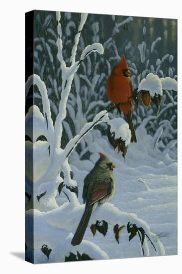 Cardinals and Brambles-Wilhelm Goebel-Premier Image Canvas
