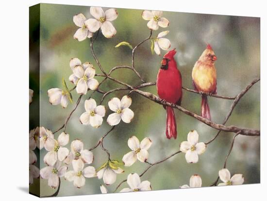 Cardinals-Sarah Davis-Premier Image Canvas