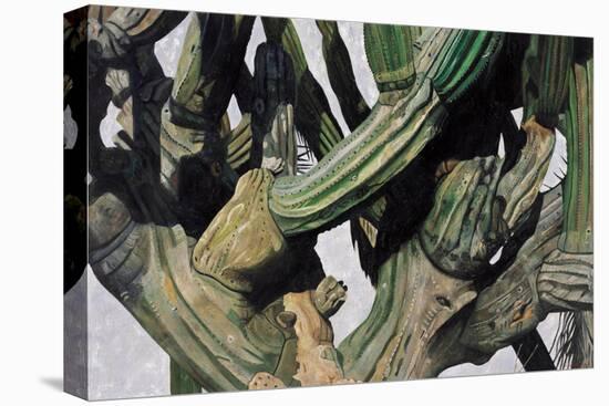 Cardon Cactus in Baja California, 2004-Pedro Diego Alvarado-Premier Image Canvas