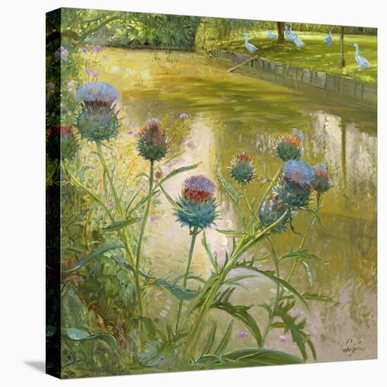 Cardoons Against the Moat-Timothy Easton-Premier Image Canvas