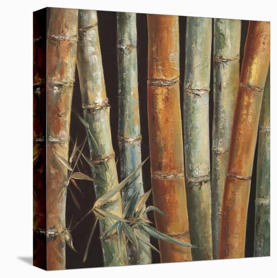 Caribbean Bamboo I-Tita Quintero-Stretched Canvas