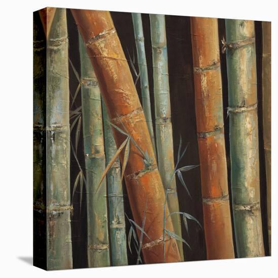 Caribbean Bamboo II-Tita Quintero-Stretched Canvas