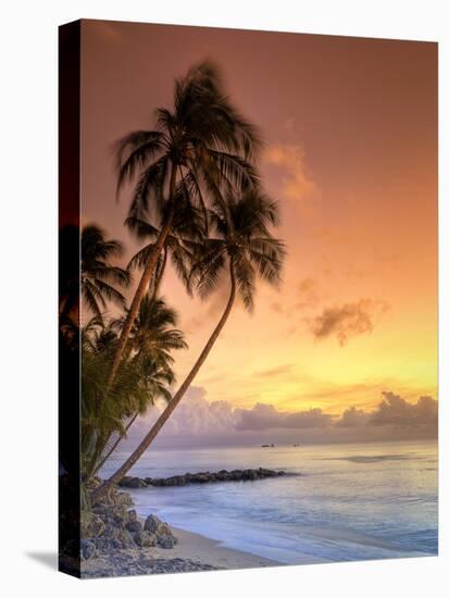 Caribbean, Barbados, Mullins Beach-Michele Falzone-Premier Image Canvas