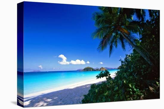 Caribbean Beach, Saint John, USVI-George Oze-Premier Image Canvas