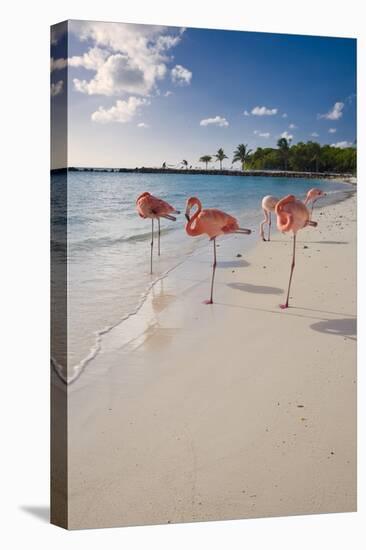 Caribbean Beach With Pink Flamingos, Aruba-George Oze-Premier Image Canvas