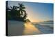 Caribbean, British Virgin Islands, Tortola, Long Bay, Long Bay Beach-Alan Copson-Premier Image Canvas