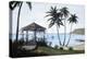 Caribbean Dreams-Bill Saunders-Stretched Canvas