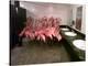 Caribbean Flamingos from Miami's Metrozoo Crowd into the Men's Bathroom-null-Premier Image Canvas