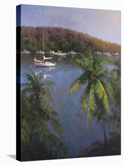 Caribbean Lagoon-Karen Dupré-Stretched Canvas