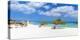 Caribbean, Netherland Antilles, Aruba, Divi Divi Trees on Eagle Beach-Jane Sweeney-Premier Image Canvas