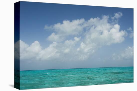Caribbean Ocean Near Ambergris Caye, Belize-Pete Oxford-Premier Image Canvas