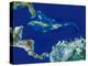 Caribbean, Satellite Image-PLANETOBSERVER-Premier Image Canvas