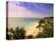 Caribbean Sea, Tulum, Yucatan, Mexico-Walter Bibikow-Premier Image Canvas