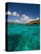 Caribbean Sea-Bob Krist-Premier Image Canvas