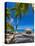 Caribbean, St Lucia, Soufriere, Anse Chastanet, Anse Chastanet Beach-Alan Copson-Premier Image Canvas