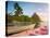 Caribbean, St Lucia, Soufriere Bay, Soufriere Beach and Petit Piton, Traditional Fishing Boats-Alan Copson-Premier Image Canvas