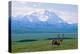 Caribou Below Mckinley-Paul Souders-Premier Image Canvas