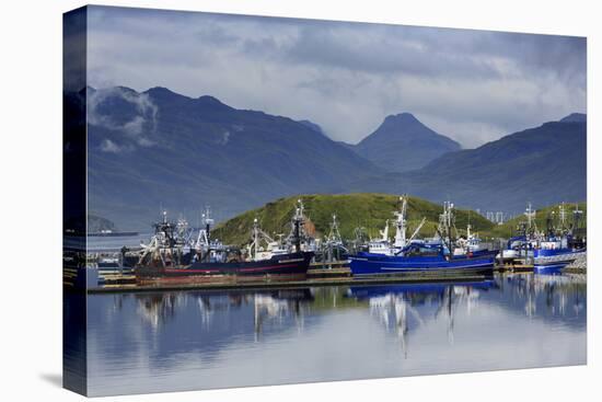 Carl E. Moses Boat Harbor, Dutch Harbor, Amaknak Island, Aleutian Islands, Alaska, USA-Richard Cummins-Premier Image Canvas