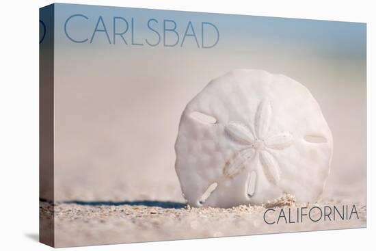 Carlsbad, California - Sand Dollar on Beach-Lantern Press-Stretched Canvas