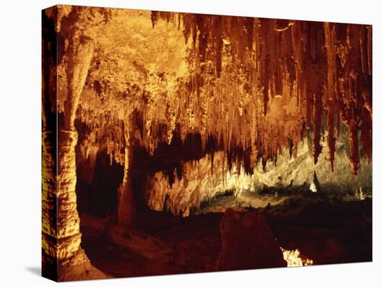 Carlsbad Caverns, Carlsbad Caverns National Park, UNESCO World Heritage Site, New Mexico, USA-Woolfitt Adam-Premier Image Canvas
