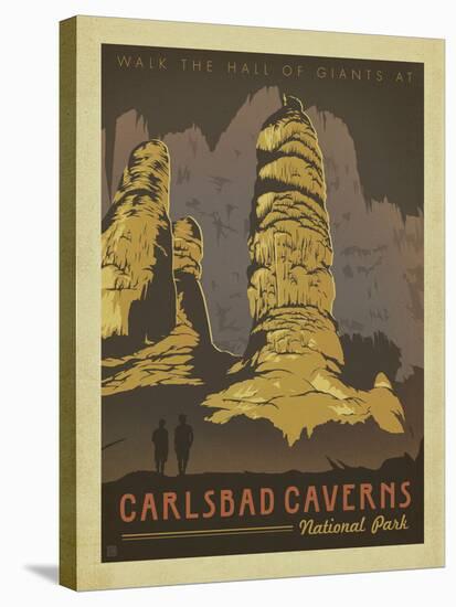 Carlsbad Caverns National Park-Anderson Design Group-Stretched Canvas
