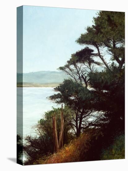 Carmel Bay-Miguel Dominguez-Premier Image Canvas