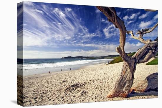 Carmel Beach, California-George Oze-Premier Image Canvas