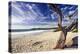 Carmel Beach, California-George Oze-Premier Image Canvas