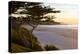 Carmel, California, cypress tree and waves at sunset on ocean, Pebble Beach-Bill Bachmann-Premier Image Canvas